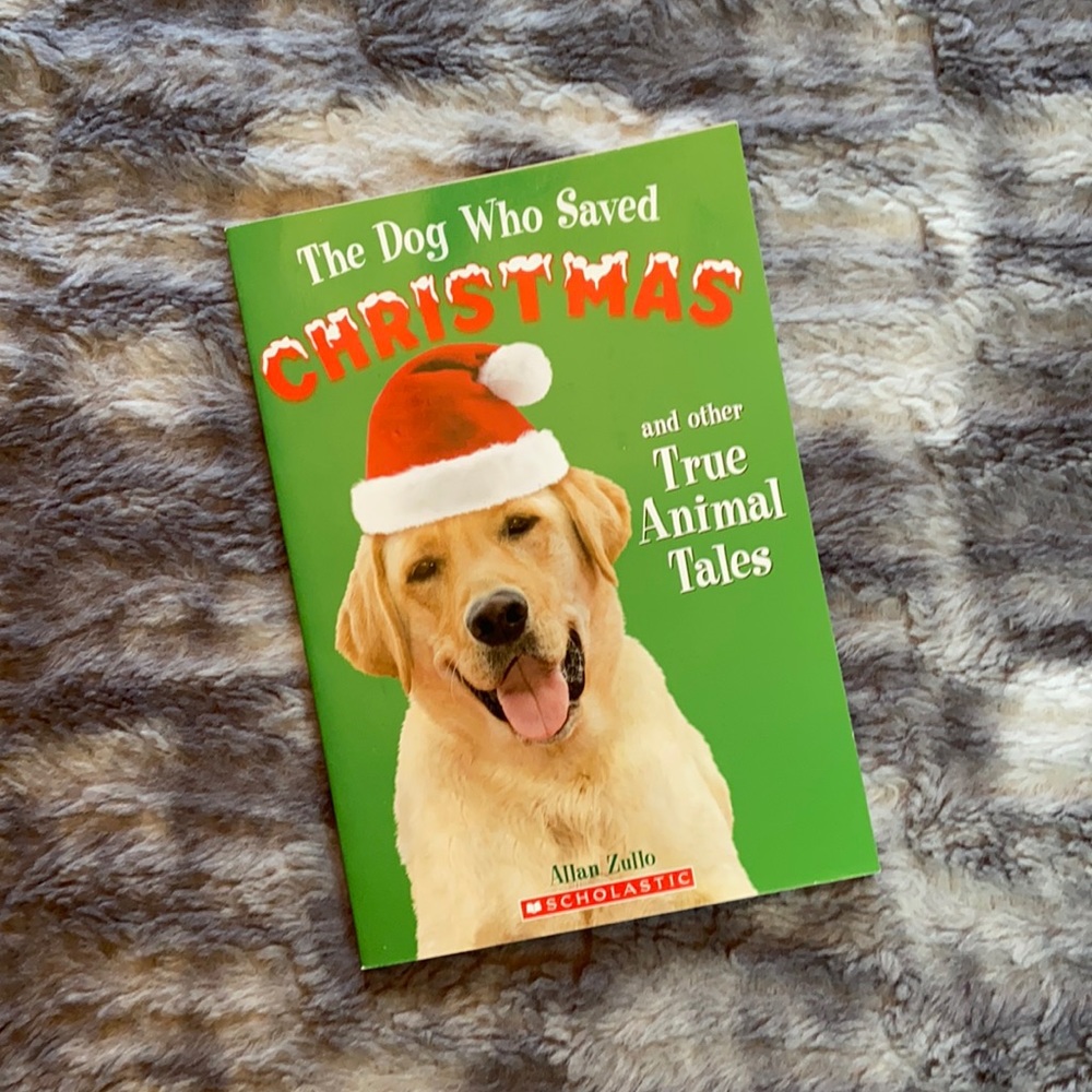 “The Dog Who Saved Christmas & Other True Animal Tales” By Allan Zullo Kids Book